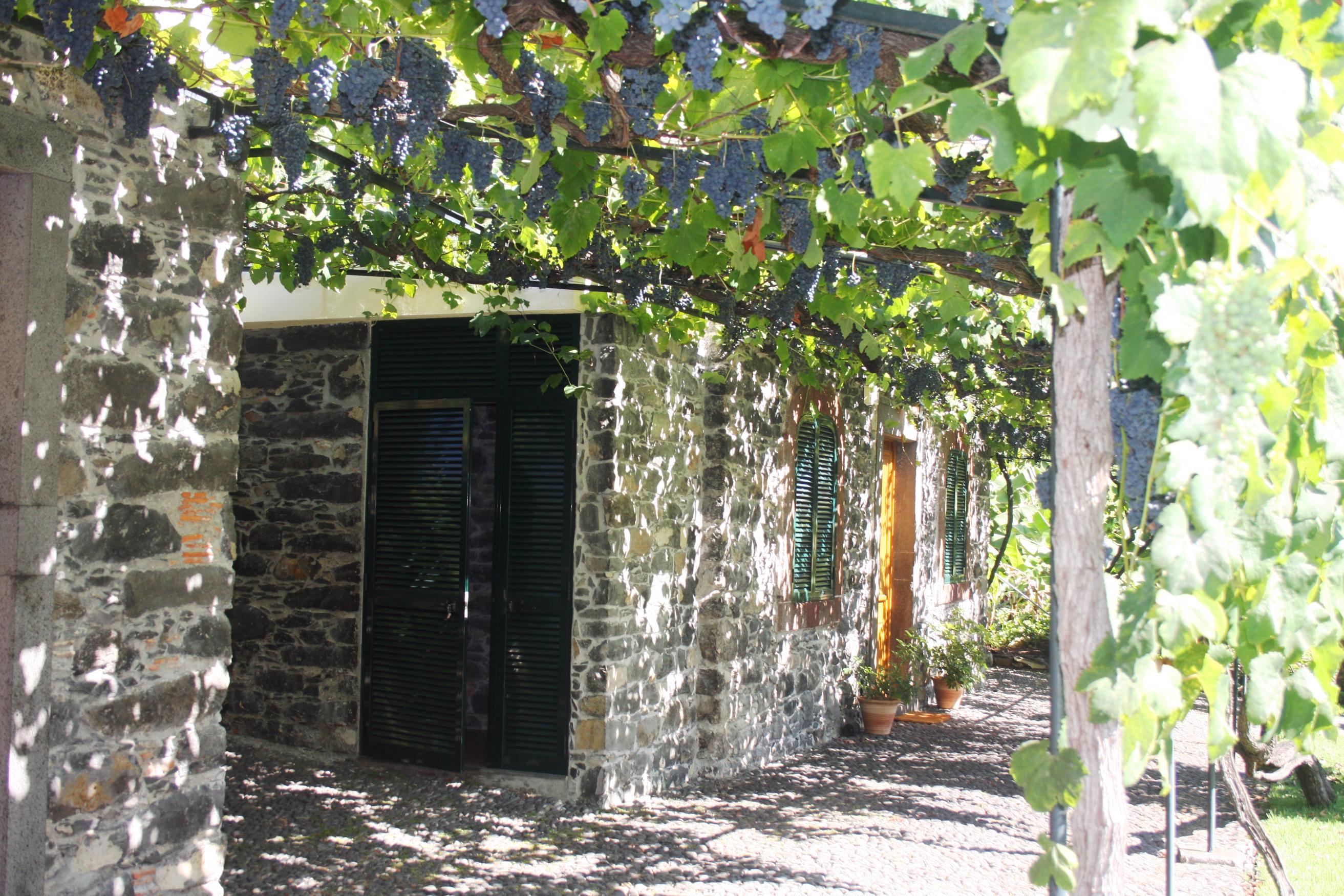 Charming restored stone cottage in Funchal centre – Loja da Lenha 1