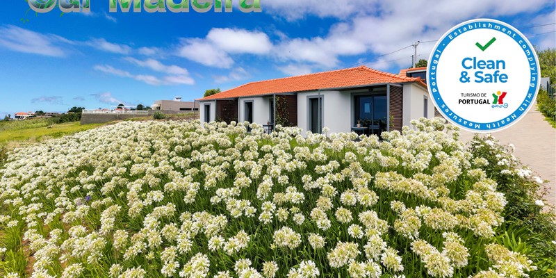 Our Madeira Apartments In Madeira Quinta Inacia By Ourmadeira Studios