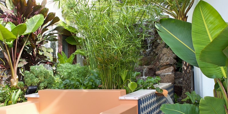 Ourmadeira Villa Do Mar IV Garden