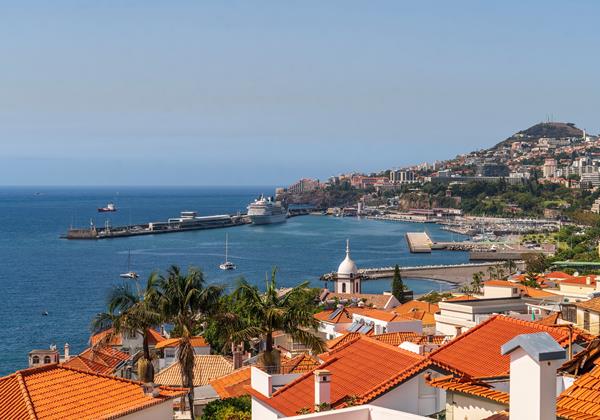 Ourmadeira Villas In Madeira Old Town Villa Rooftop Terrace View
