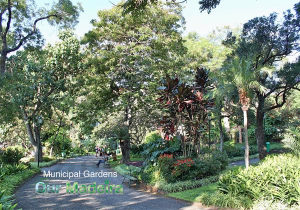 19 Ourmadeira Villas In Madeirs Funchal Municipal Gardens Walks