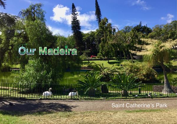 22 Ourmadeira Villas In Madeira Funchal Saint Catherines Park Ducks