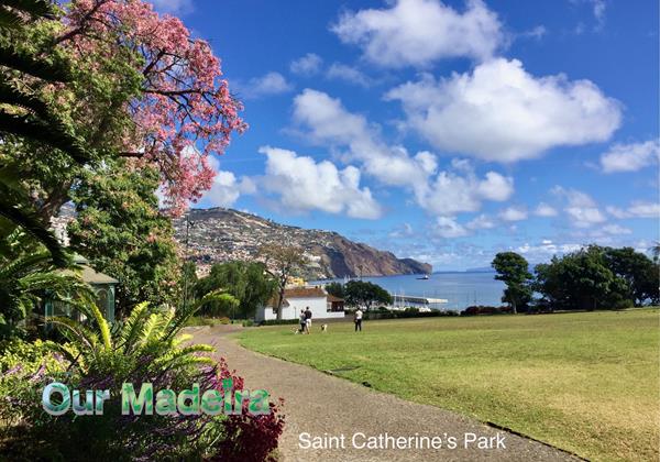 21 Ourmadeira Villas In Madeira Funchal Sait Catherines Park