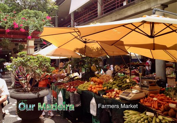 24 Ourmadeira Villas In Madeira Funchal Farmers Market