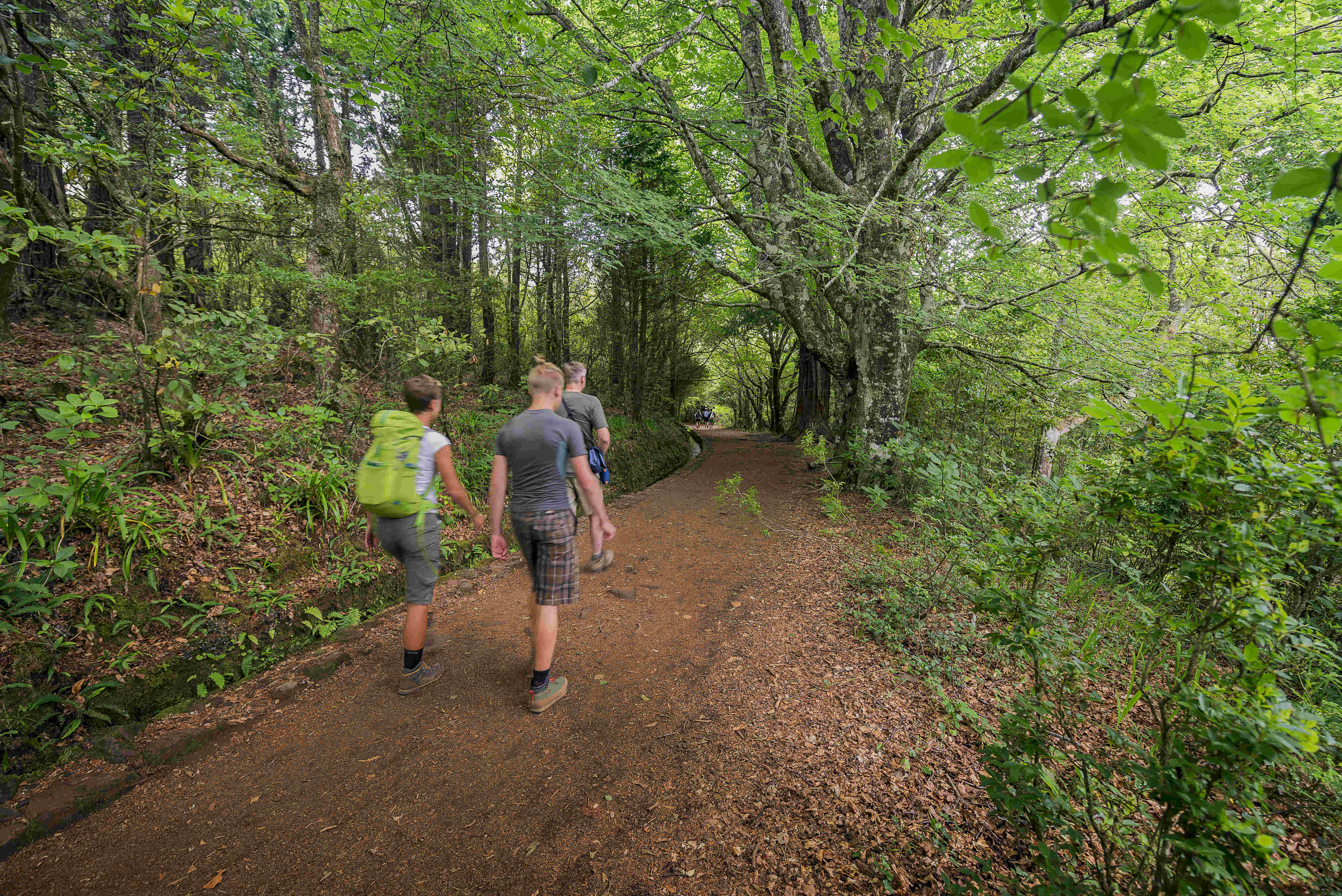 Terrace Sea Apartment C