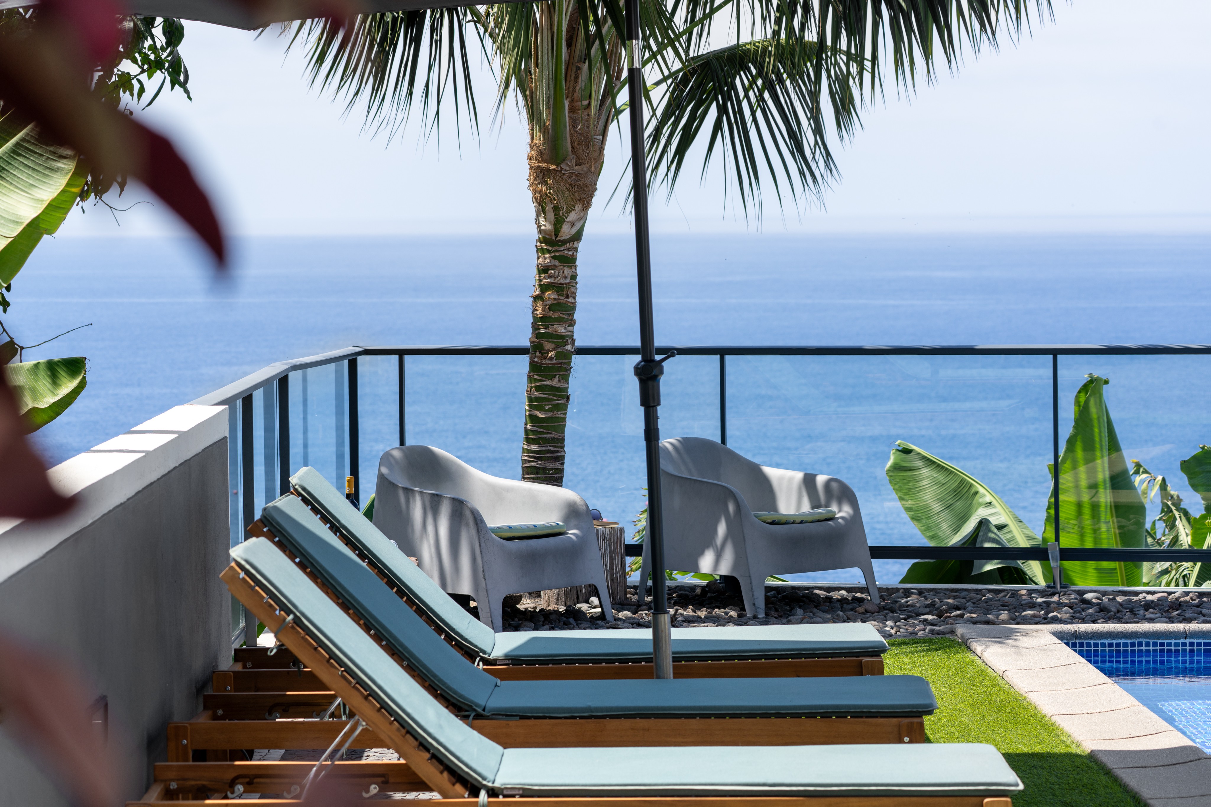 Sun Loungers Under A Palm Tree At Graycis House By Ourmadeira Overlooking The Ocean Horizon On A Bright Sunny Day