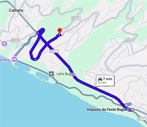 Memorhia Olivha Camrhim