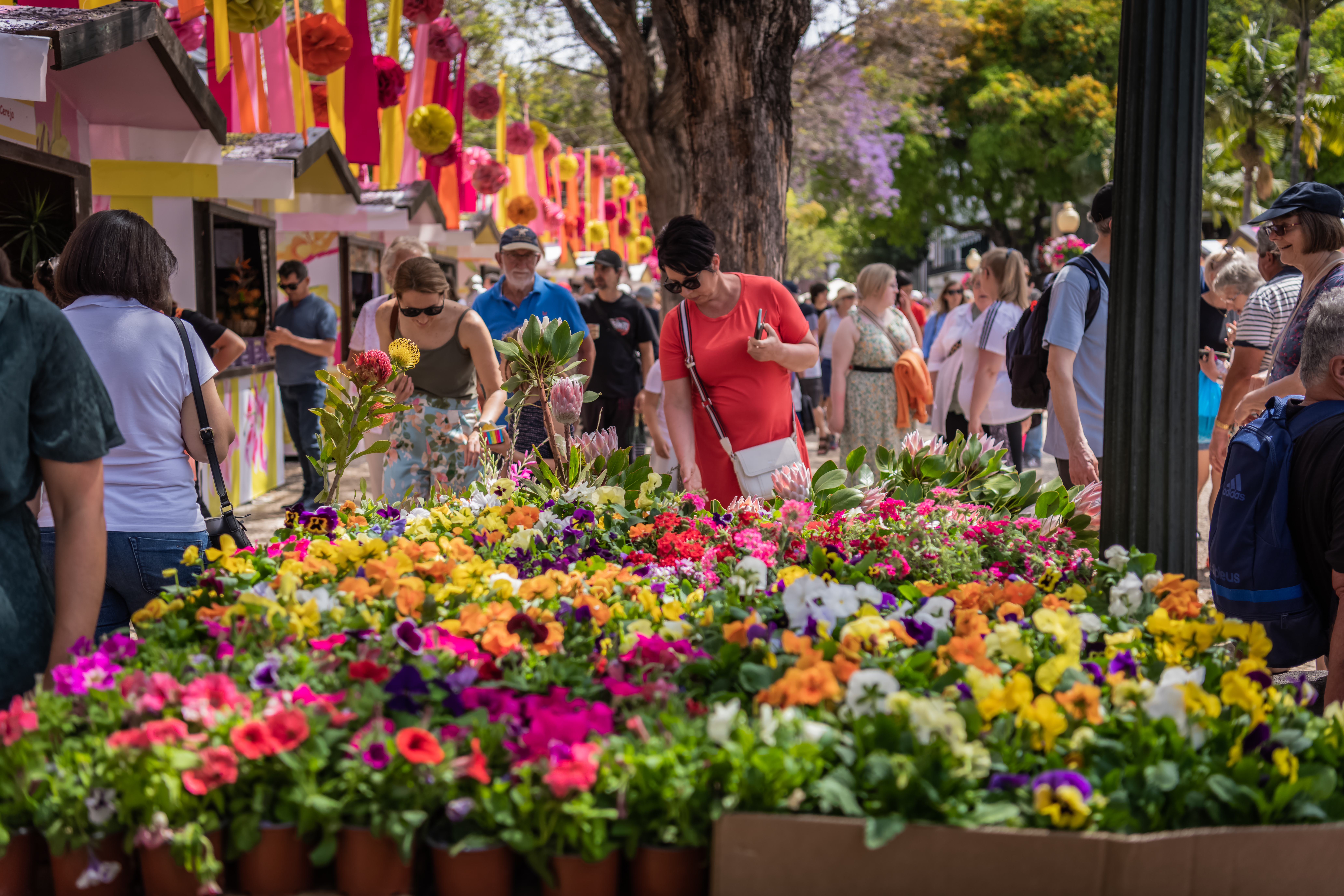 Madeira Flower Festival 2026: Complete Guide to the Festa da Flor in Funchal