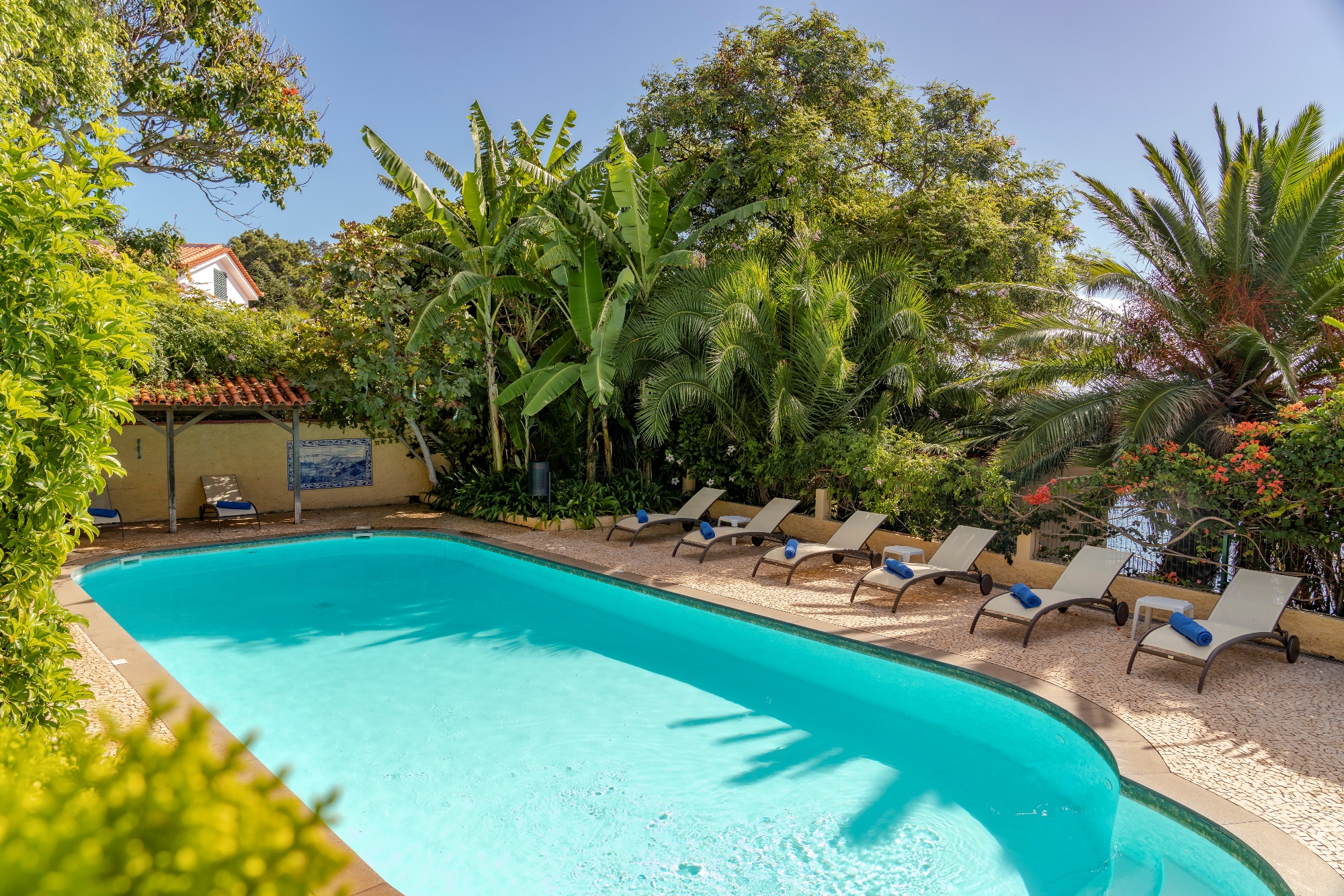 2 Our Madeira Villa Albatroz Pool
